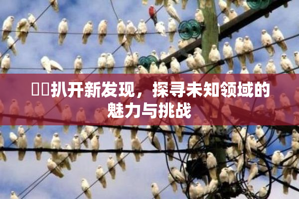 妺妺扒开新发现，探寻未知领域的魅力与挑战