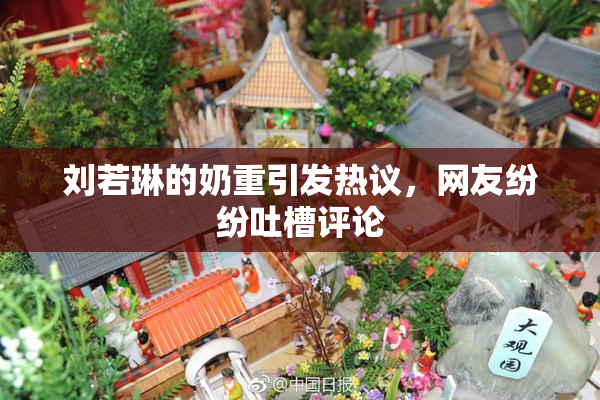 刘若琳的奶重引发热议，网友纷纷吐槽评论