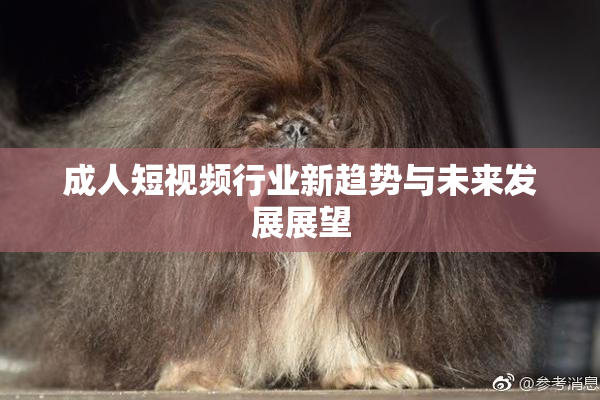 成人短视频行业新趋势与未来发展展望