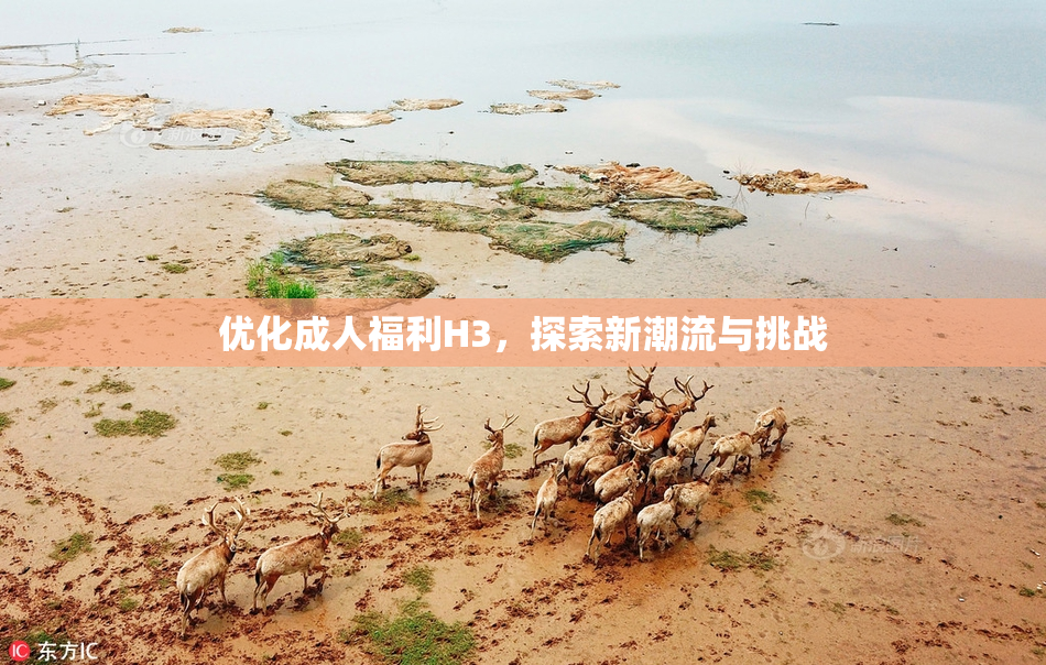 优化成人福利H3，探索新潮流与挑战