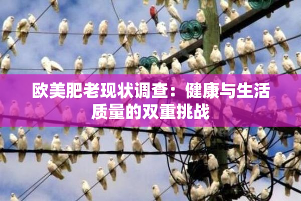 欧美肥老现状调查：健康与生活质量的双重挑战