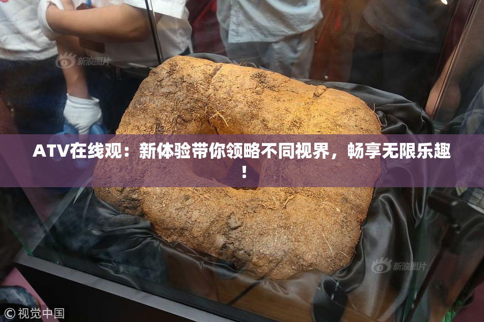ATV在线观：新体验带你领略不同视界，畅享无限乐趣！
