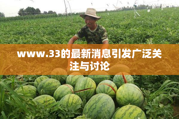 www.33的最新消息引发广泛关注与讨论