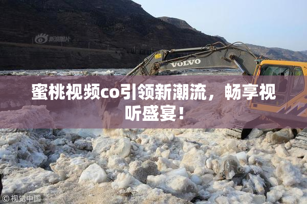 蜜桃视频co引领新潮流，畅享视听盛宴！