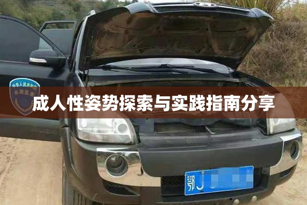 成人性姿势探索与实践指南分享
