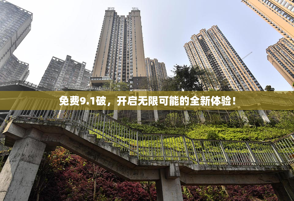 免费9.1破，开启无限可能的全新体验！