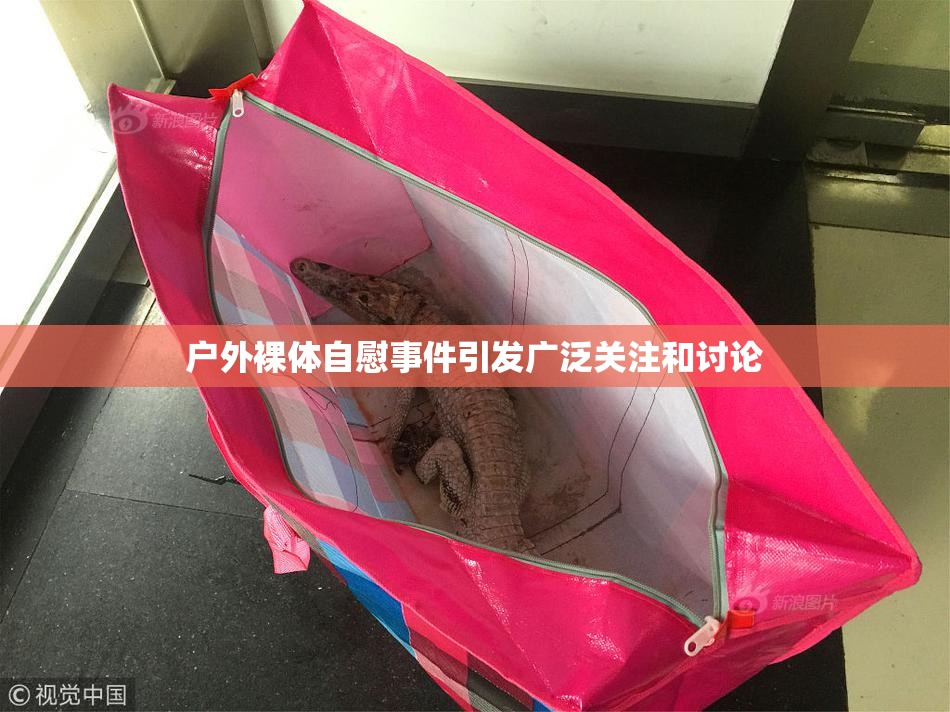 户外裸体自慰事件引发广泛关注和讨论