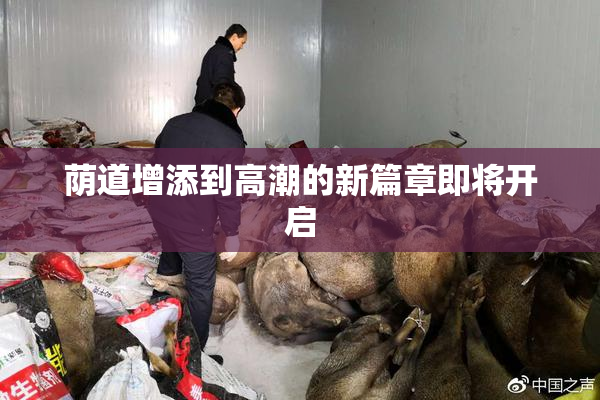荫道增添到高潮的新篇章即将开启