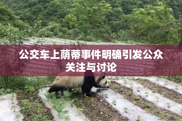 公交车上荫蒂事件明确引发公众关注与讨论