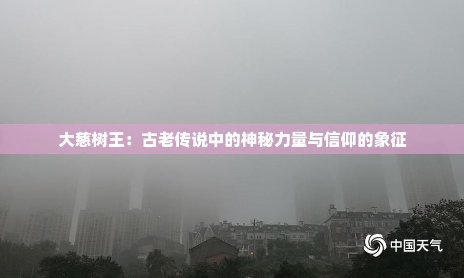 大慈树王：古老传说中的神秘力量与信仰的象征