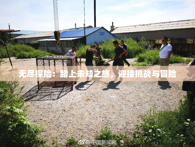 无尽探险：踏上未知之旅，迎接挑战与冒险