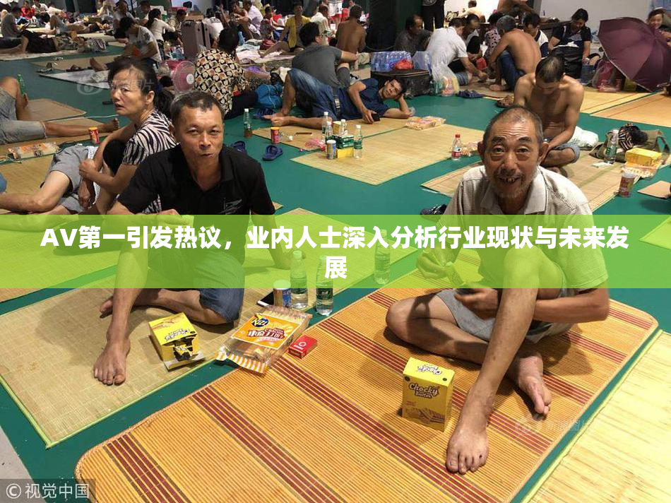 AV第一引发热议，业内人士深入分析行业现状与未来发展