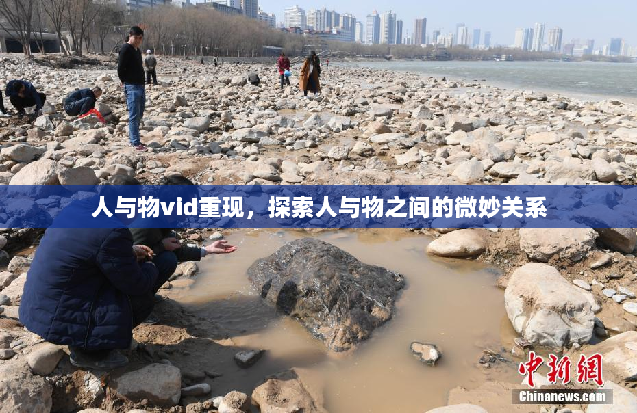 人与物vid重现，探索人与物之间的微妙关系