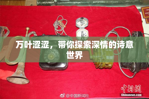 万叶涩涩，带你探索深情的诗意世界