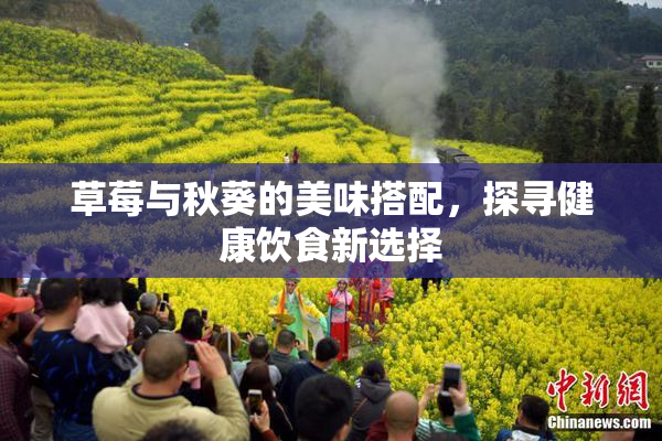草莓与秋葵的美味搭配，探寻健康饮食新选择