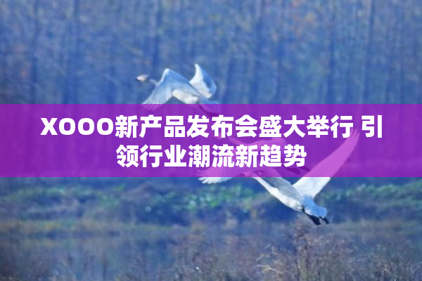 XOOO新产品发布会盛大举行 引领行业潮流新趋势
