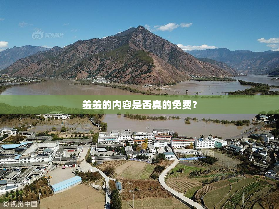 羞羞的内容是否真的免费？