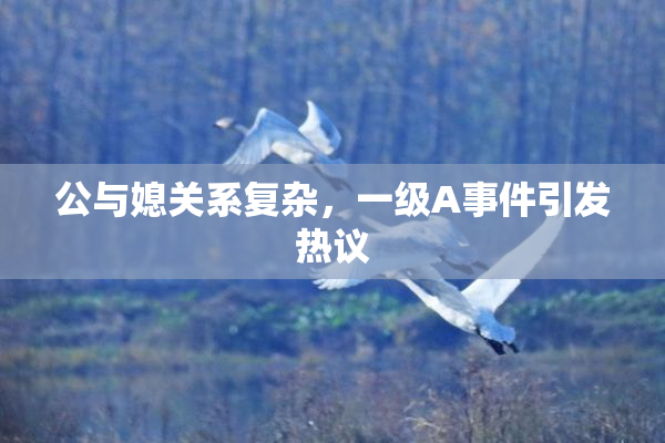 公与媳关系复杂，一级A事件引发热议