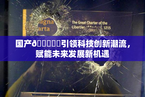 国产🔞❌‌引领科技创新潮流，赋能未来发展新机遇