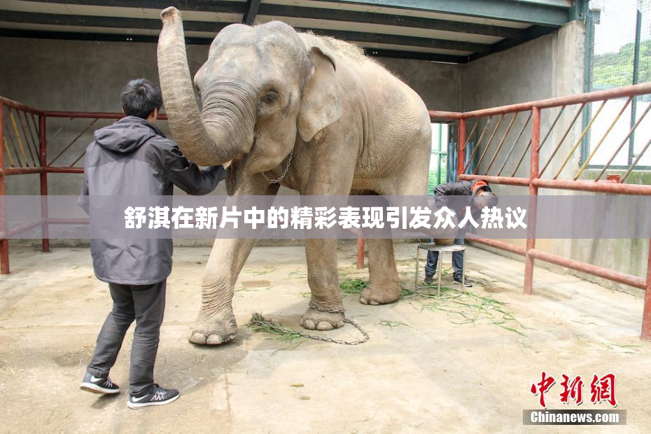 舒淇在新片中的精彩表现引发众人热议