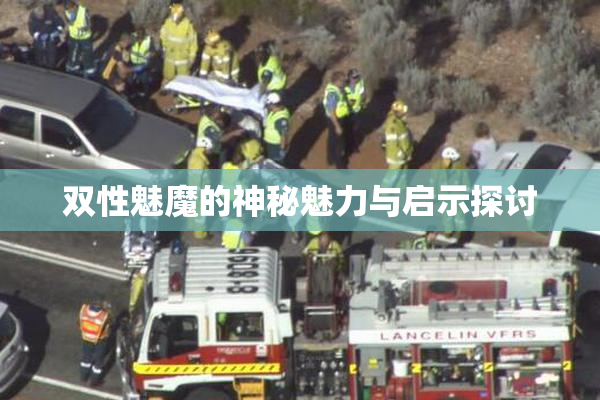 双性魅魔的神秘魅力与启示探讨
