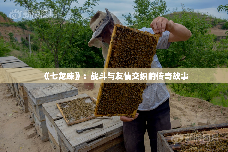 《七龙珠》：战斗与友情交织的传奇故事
