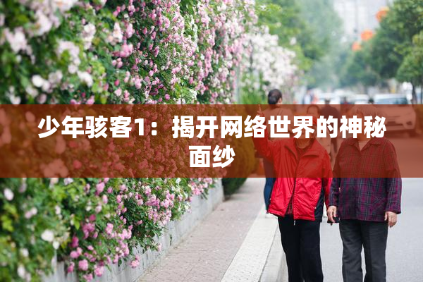 少年骇客1：揭开网络世界的神秘面纱