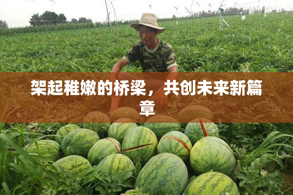 架起稚嫩的桥梁，共创未来新篇章