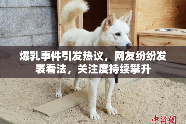 爆乳事件引发热议，网友纷纷发表看法，关注度持续攀升