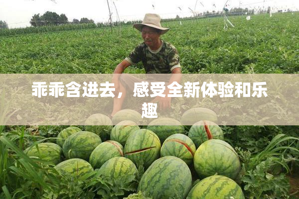 乖乖含进去，感受全新体验和乐趣