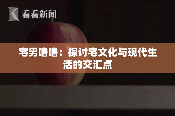 宅男噜噜：探讨宅文化与现代生活的交汇点