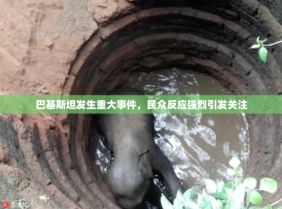 巴基斯坦发生重大事件，民众反应强烈引发关注