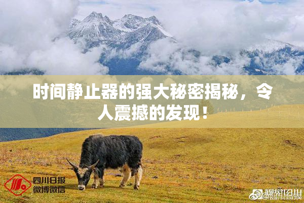 时间静止器的强大秘密揭秘，令人震撼的发现！