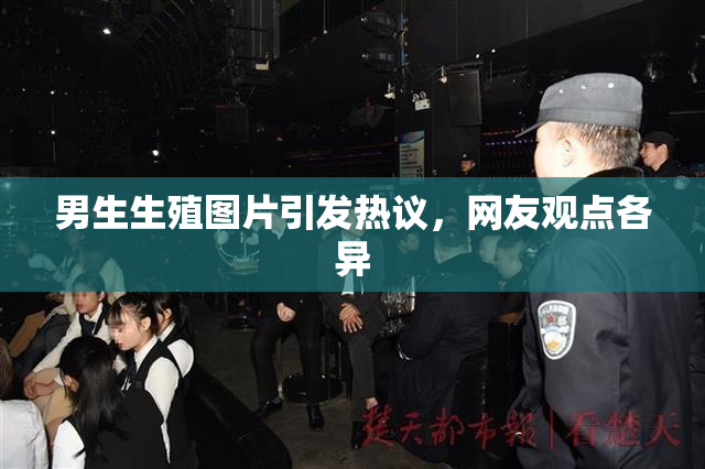 男生生殖图片引发热议，网友观点各异