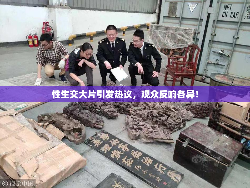 性生交大片引发热议，观众反响各异！