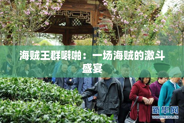 海贼王群噼啪：一场海贼的激斗盛宴
