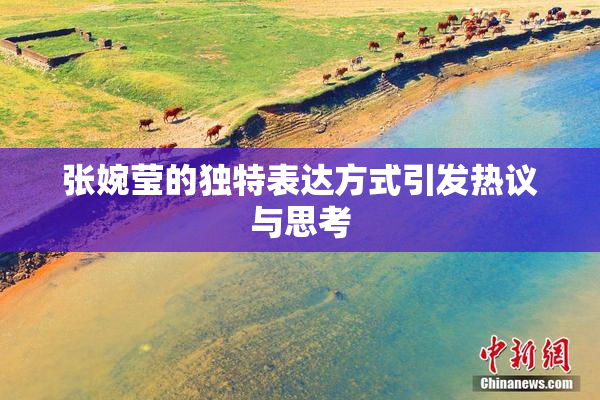 张婉莹的独特表达方式引发热议与思考