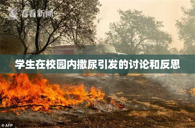 学生在校园内撒尿引发的讨论和反思