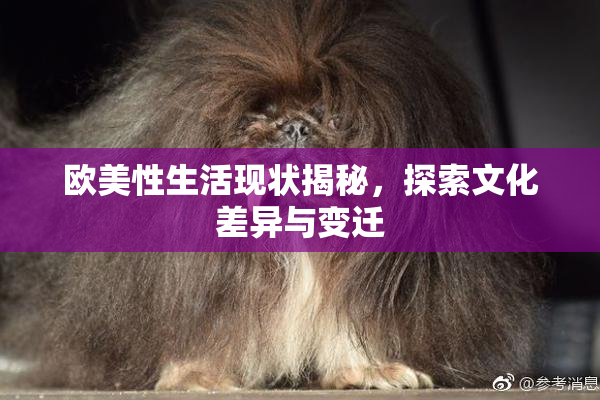 欧美性生活现状揭秘，探索文化差异与变迁