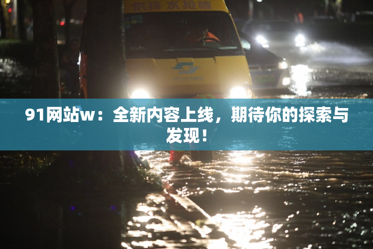 91网站w：全新内容上线，期待你的探索与发现！