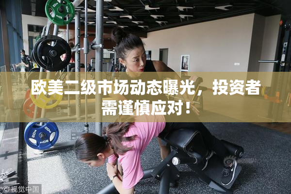 欧美二级市场动态曝光，投资者需谨慎应对！