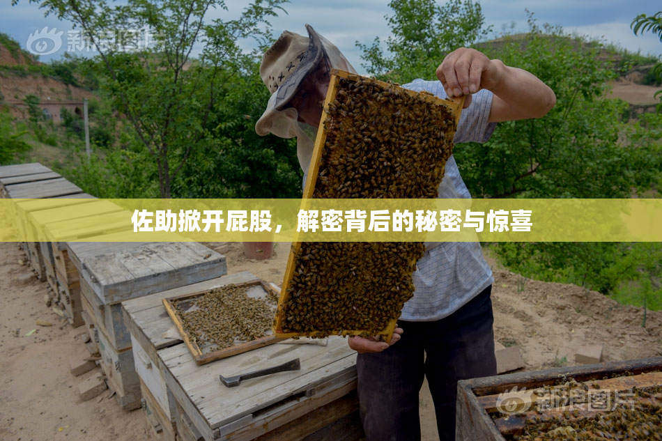 佐助掀开屁股，解密背后的秘密与惊喜