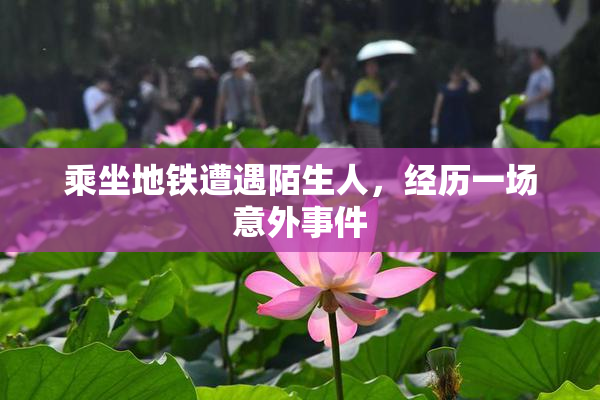 乘坐地铁遭遇陌生人，经历一场意外事件