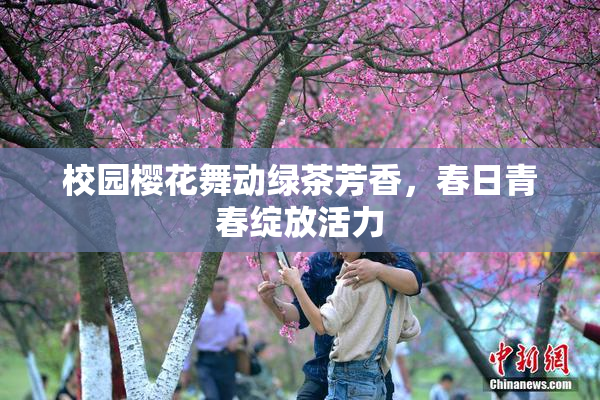 校园樱花舞动绿茶芳香，春日青春绽放活力
