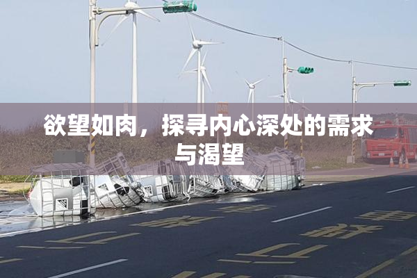 欲望如肉，探寻内心深处的需求与渴望