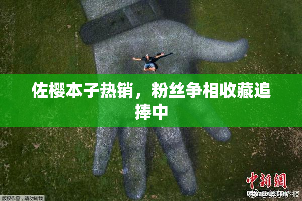 佐樱本子热销，粉丝争相收藏追捧中
