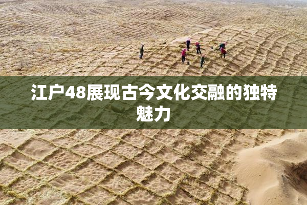 江户48展现古今文化交融的独特魅力