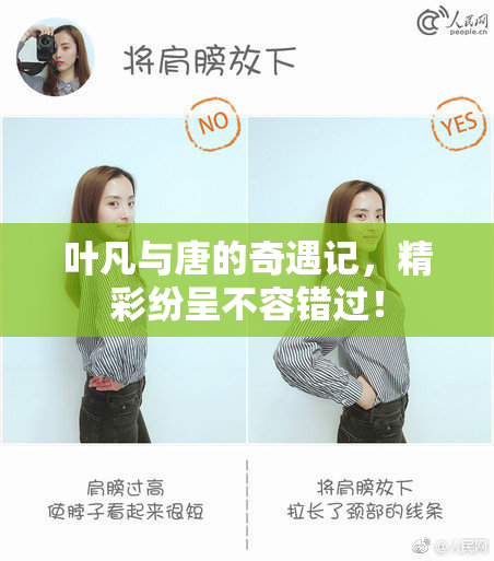 叶凡与唐的奇遇记，精彩纷呈不容错过！