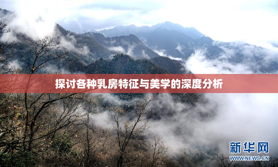 探讨各种乳房特征与美学的深度分析
