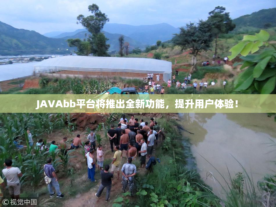 JAVAbb平台将推出全新功能，提升用户体验！